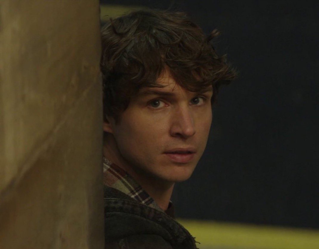 dog boy molloy tweet media