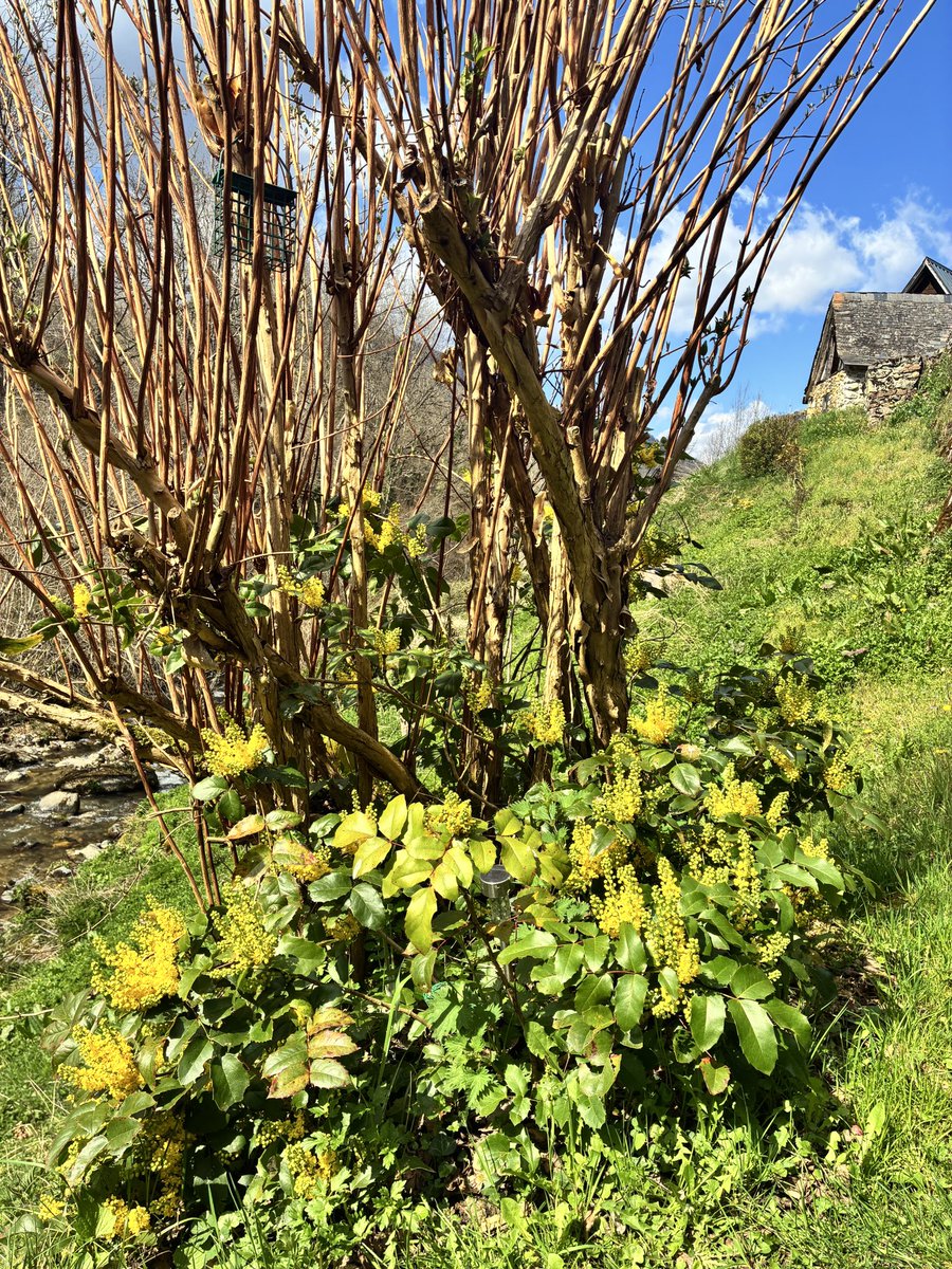 Crazyhotso tweet media