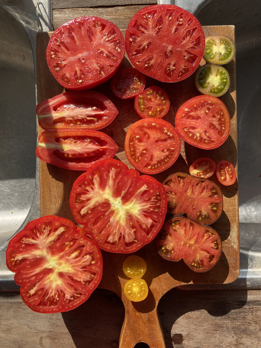 Craft House 🪄🍅Tomato person tweet media