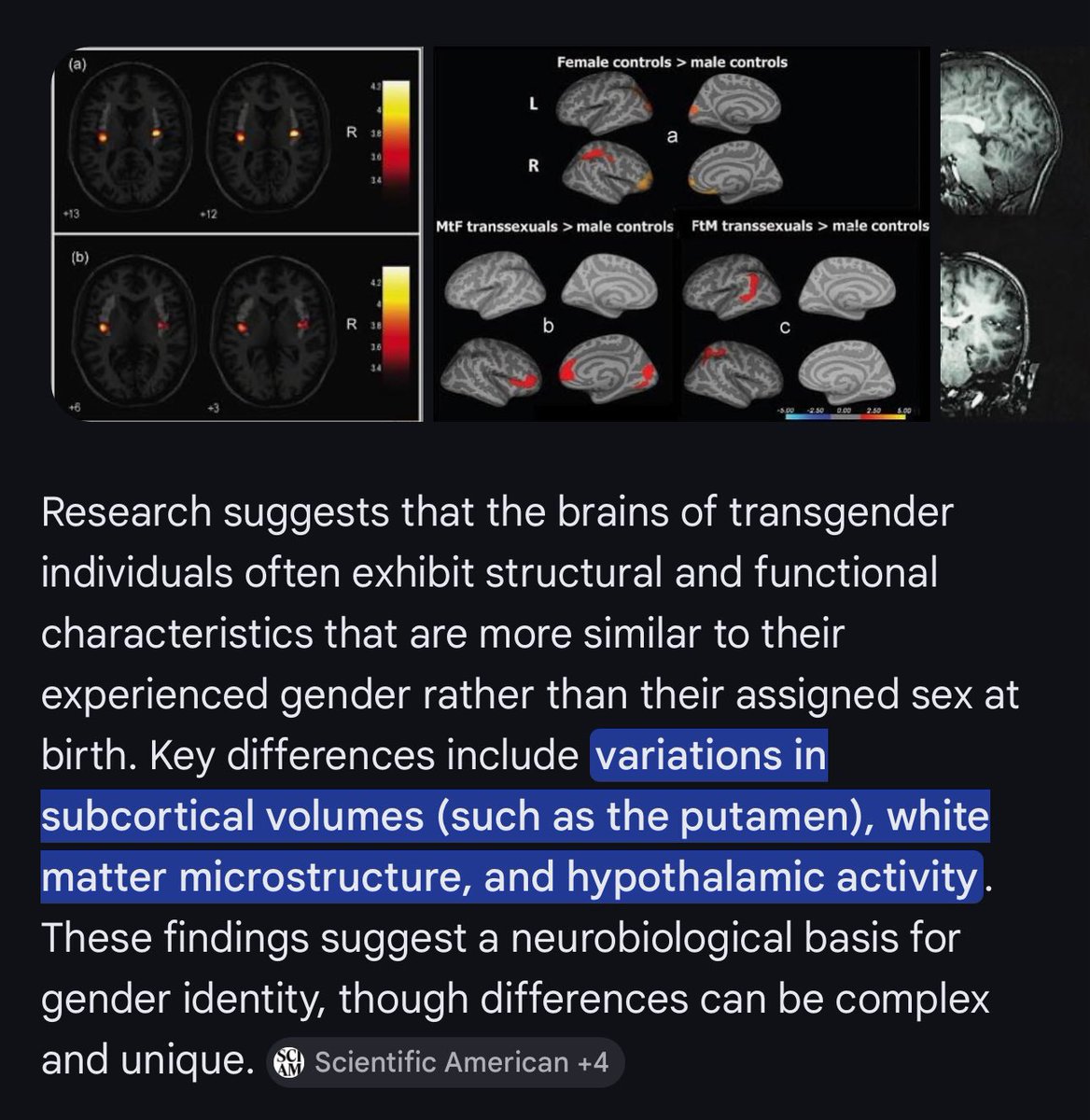 ☠️ Lilith Lovett ☠️ same @ on 💙☁️🦋 tweet media