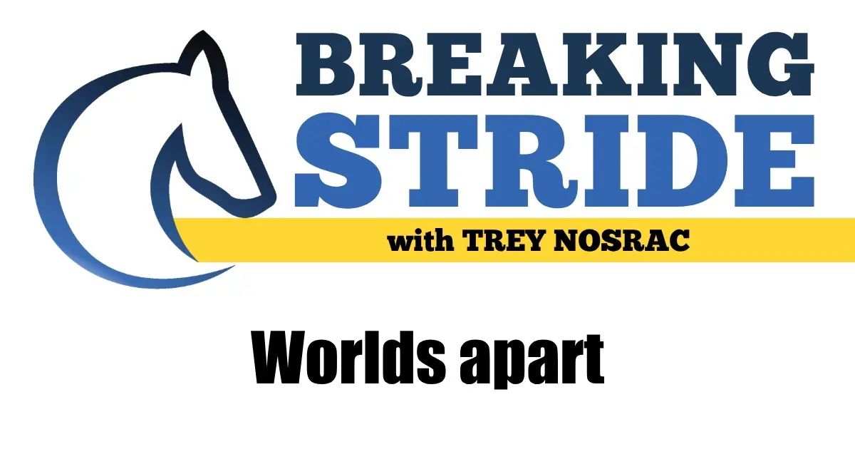 Harness Racing Update tweet media