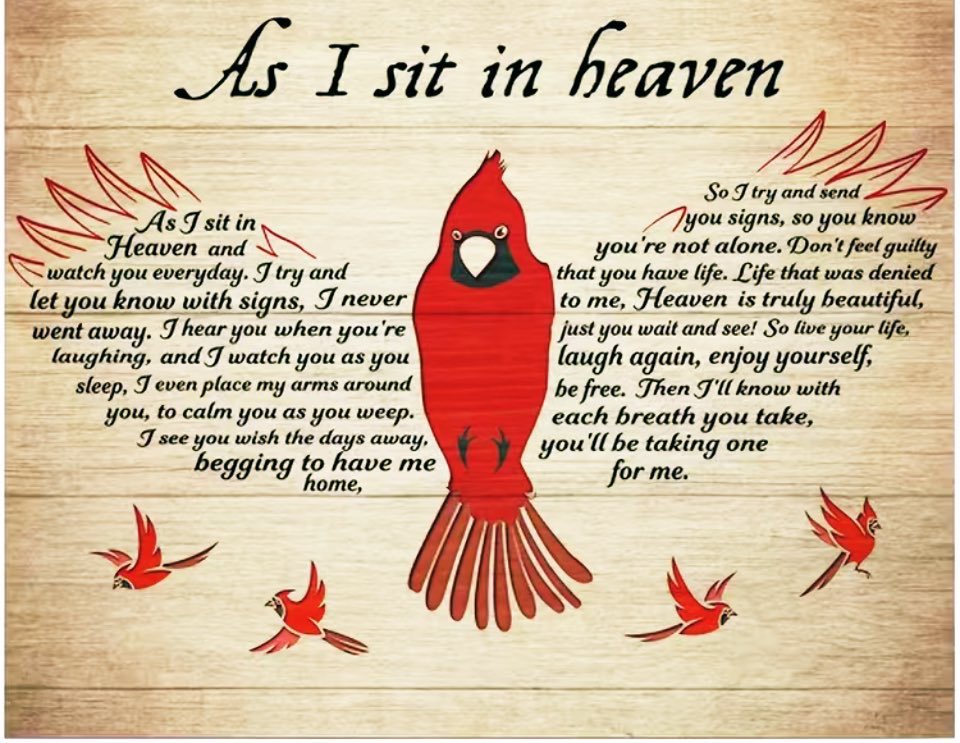 Cookie🐈‍⬛Stanley🐈Fiene🐯♥️ tweet media