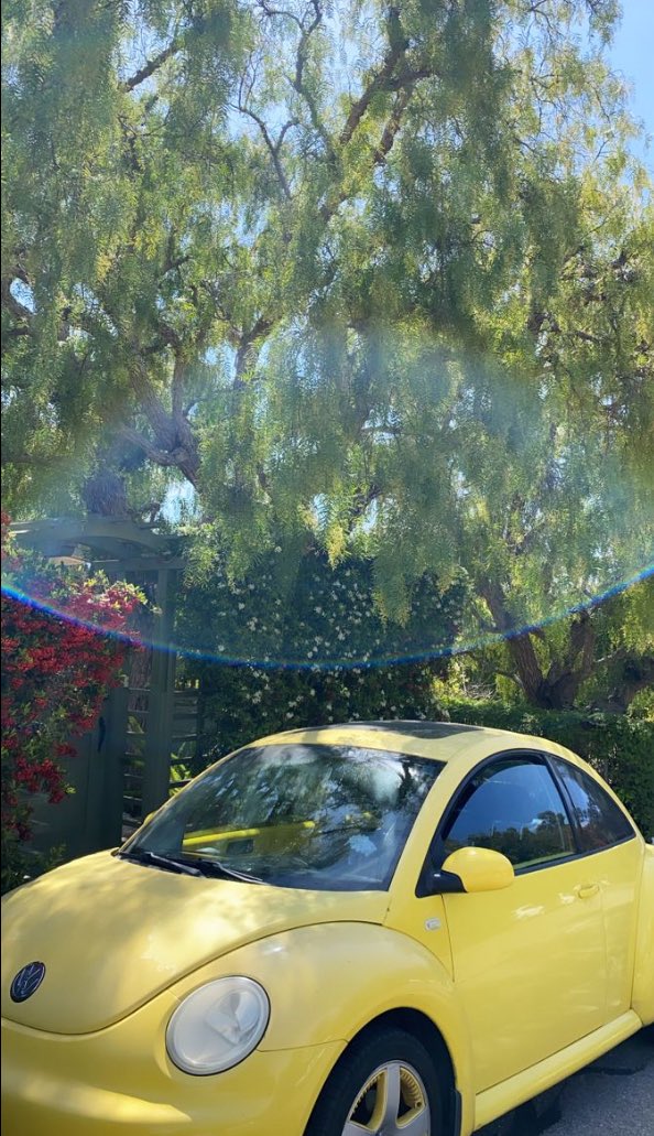 StileyFBaby tweet media