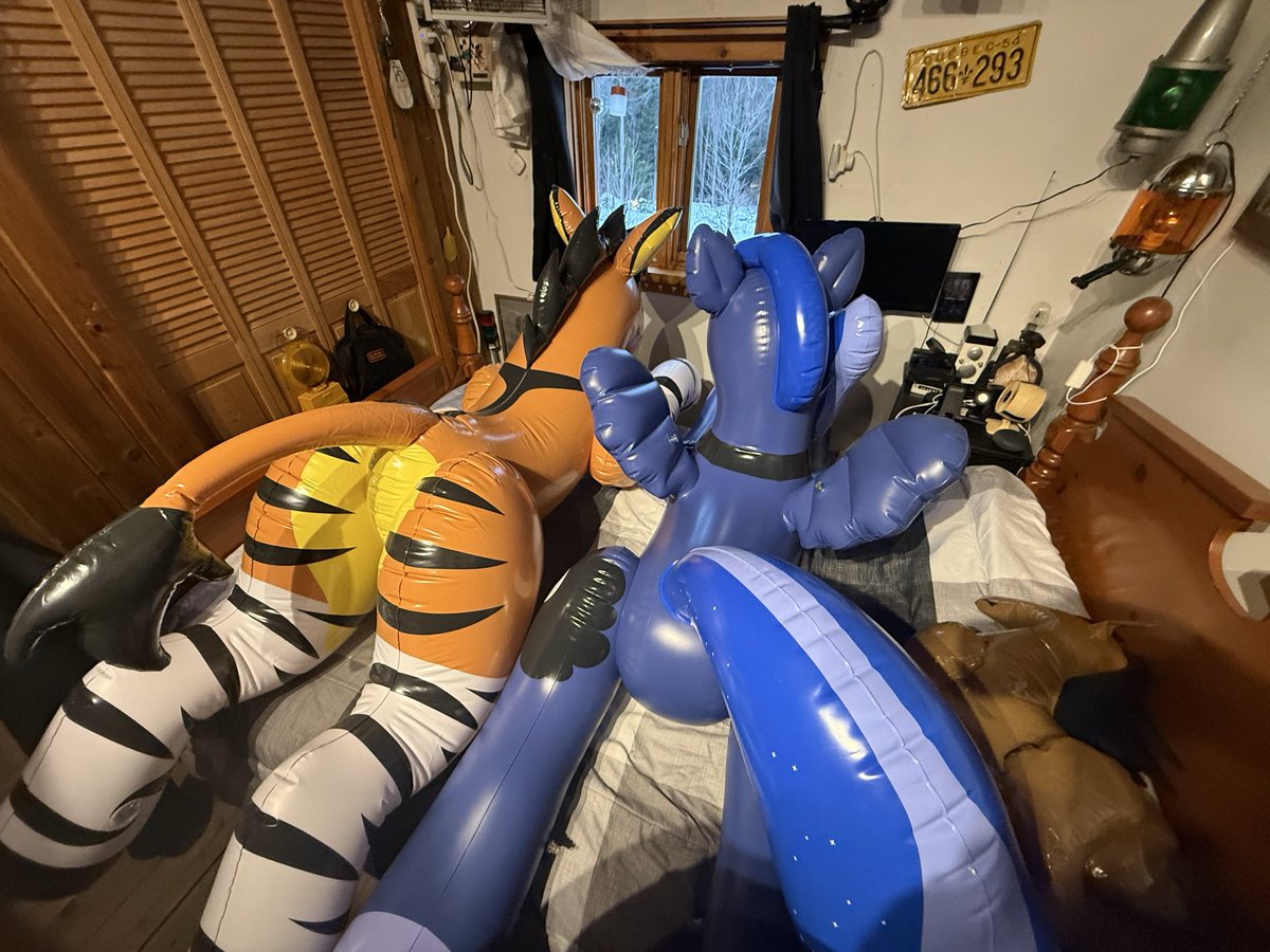 Nøurs 🧸⚡️🐻 tweet media