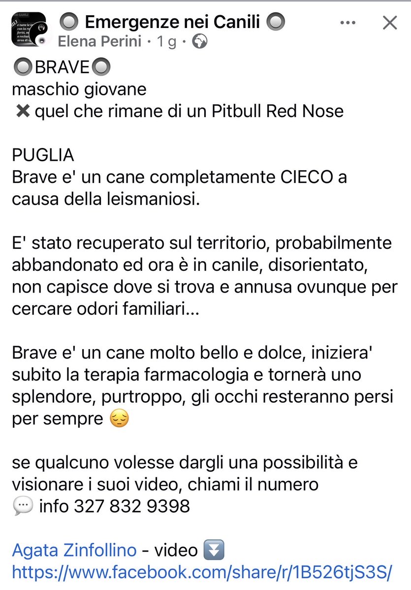 BSorato's tweet image. 