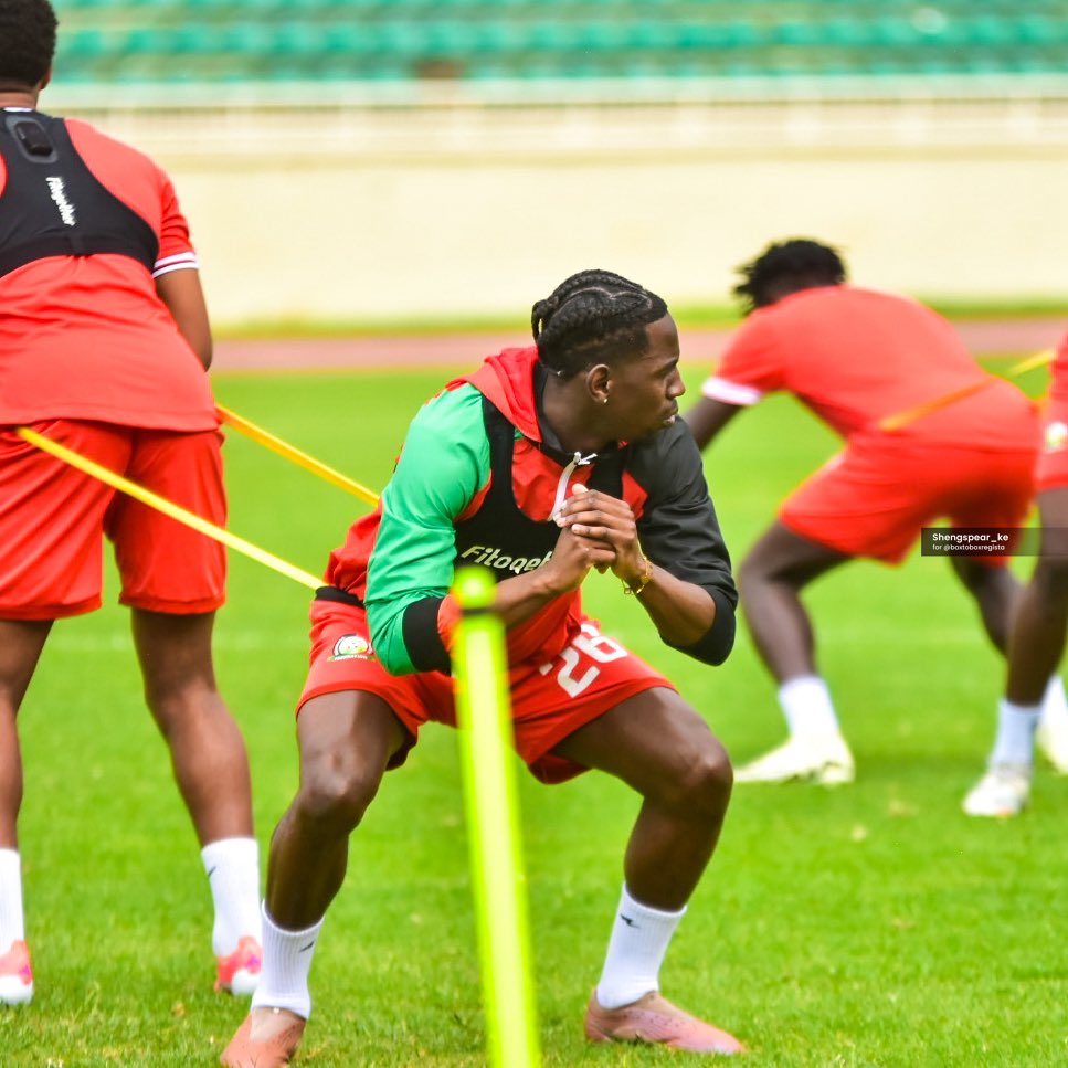 LUPO 🦊 tweet media