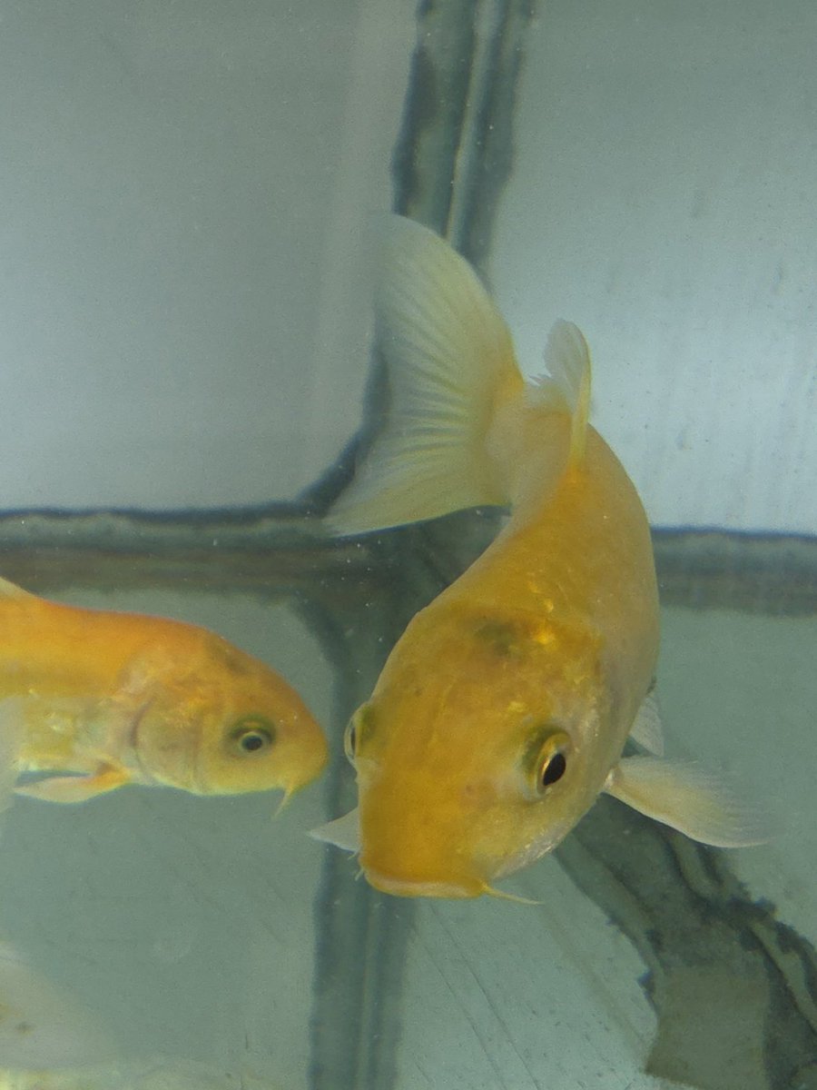 ︎ ︎ ︎ tweet media