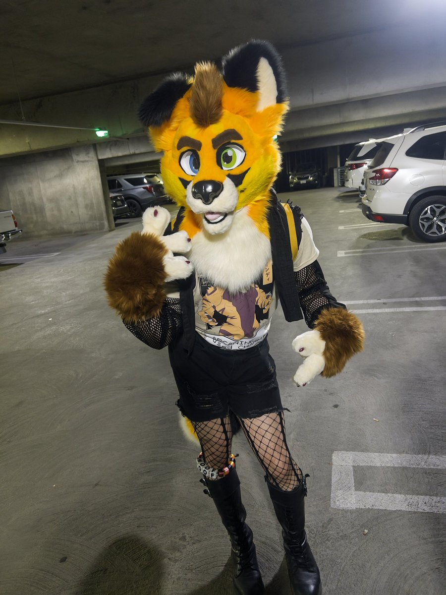 🌹Scruffy Ryker🥀 🔜FWA tweet media