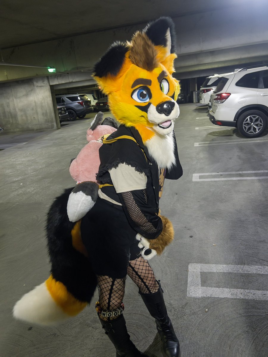 🌹Scruffy Ryker🥀 🔜FWA tweet media