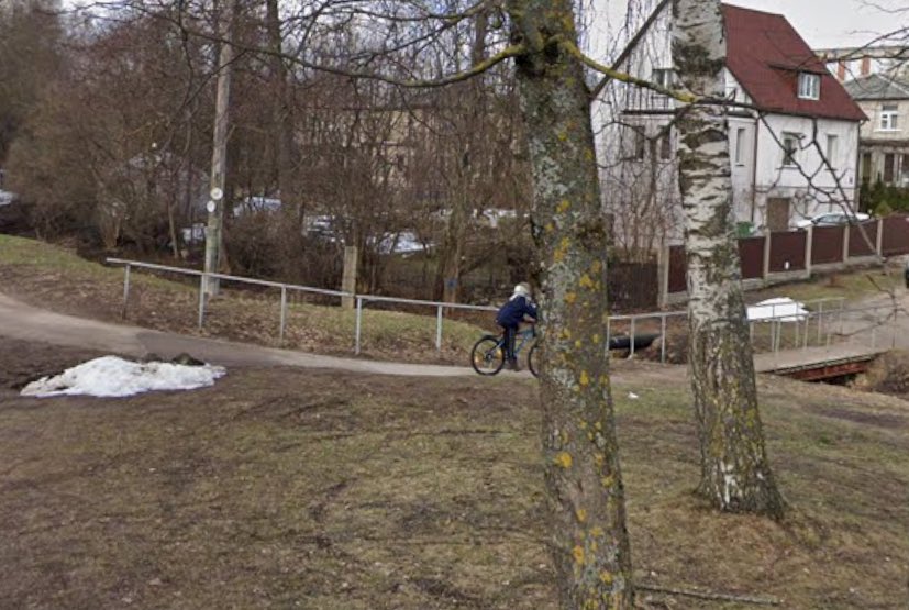 𝙨𝙖𝙖𝙗 𝙬𝙞𝙩𝙝 𝙢𝙞𝙡𝙠 🦊 tweet media