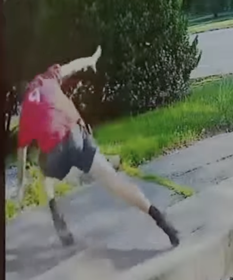 Aidan Kearney tweet media