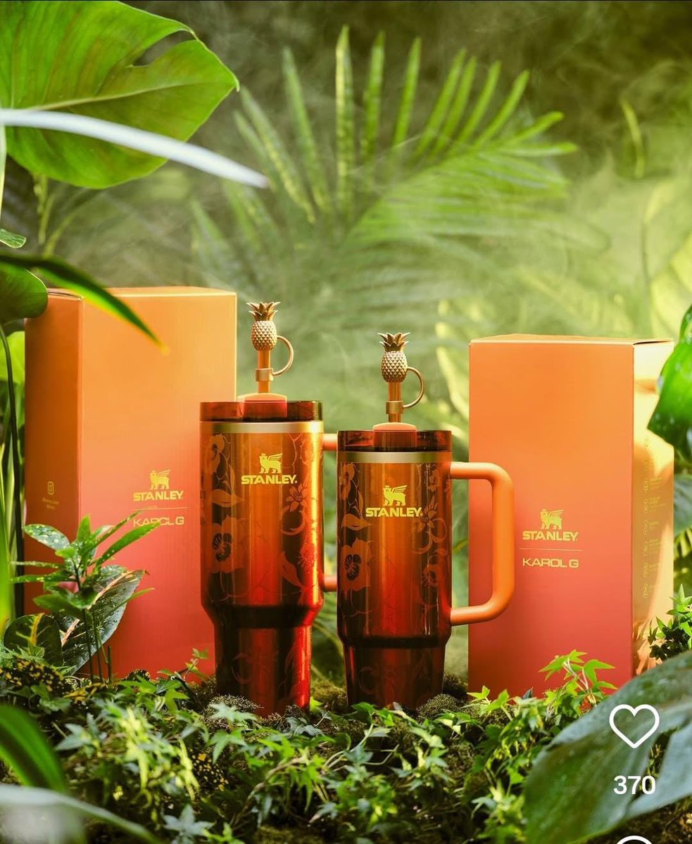 cami | 𝕭𝖎𝖈𝖍𝖔𝖙𝖆 🦜 tweet media