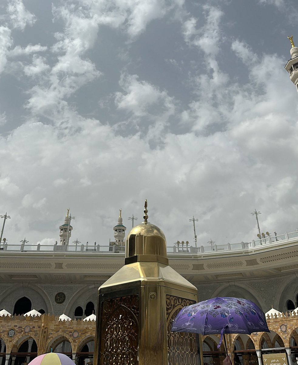 ميمه tweet media