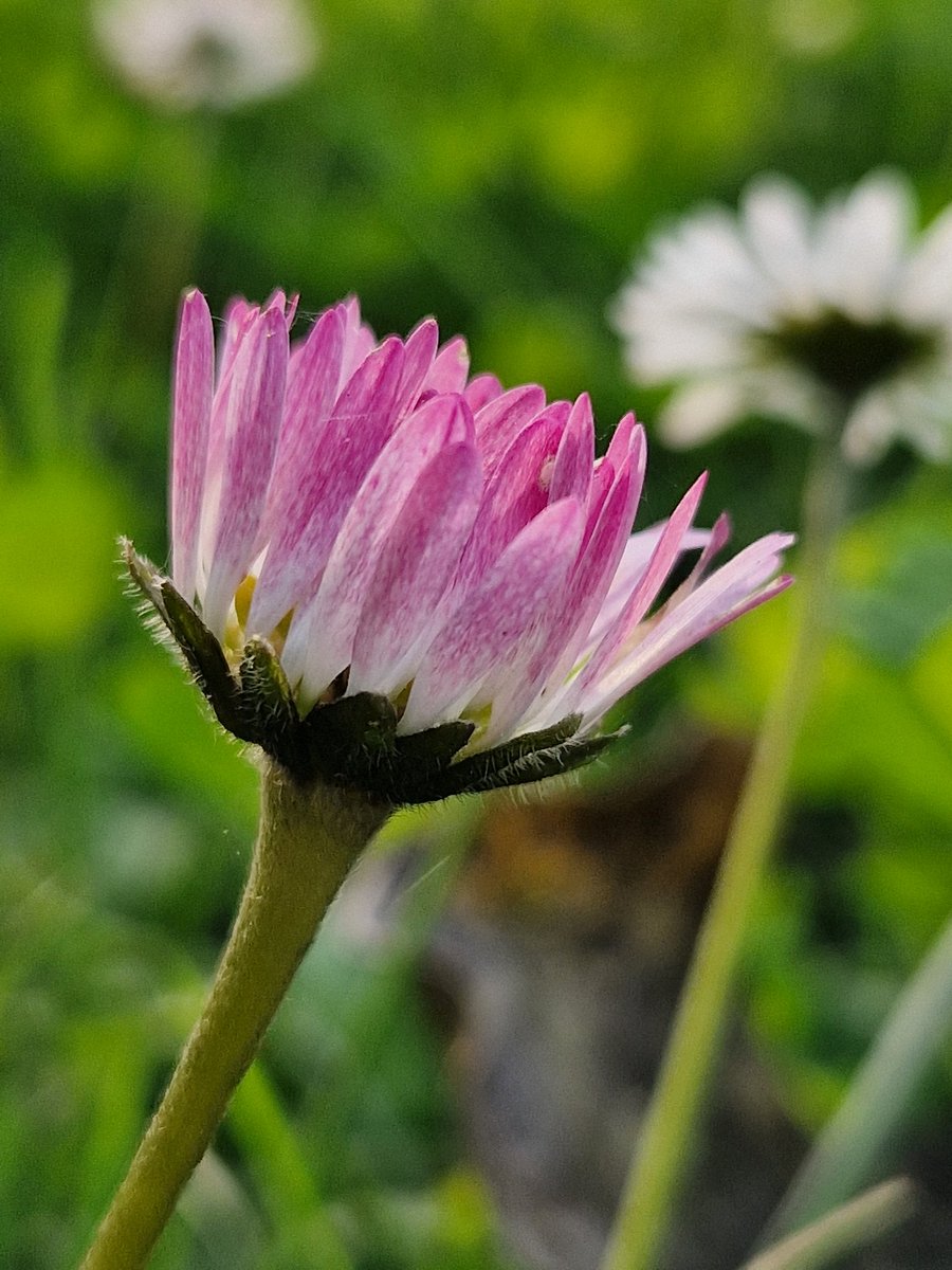 La Tête sous l'eau tweet media