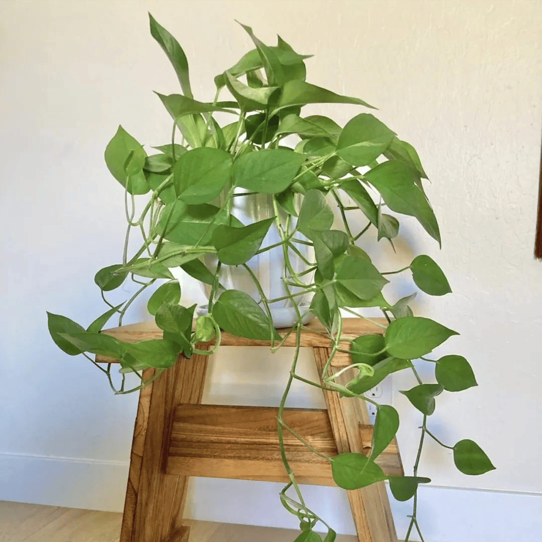 Kate&Sophia tweet media