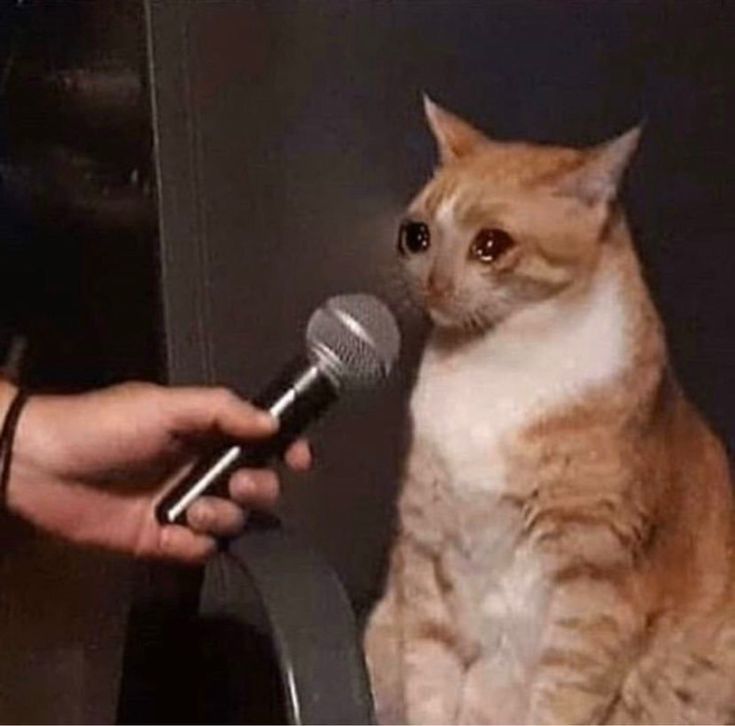 Purple🪻 MagicShop 🇹🇷 Arirang🪭 tweet media