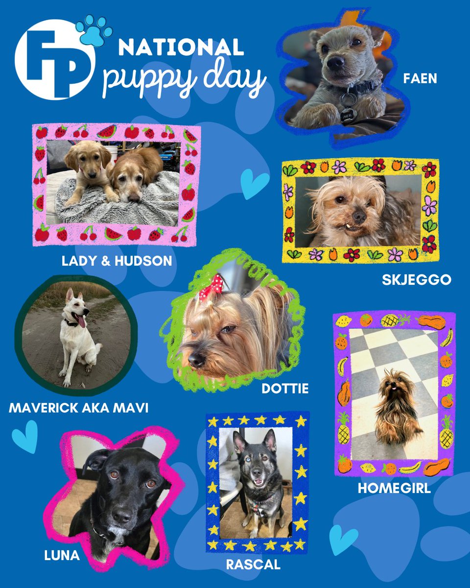 Fully Promoted of Lethbridge tweet media