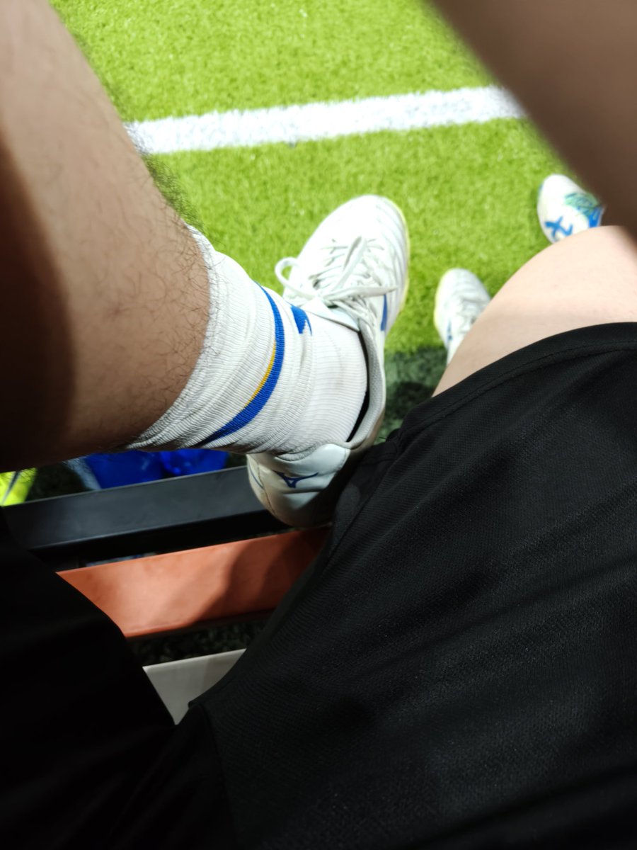 我正在输入 tweet media