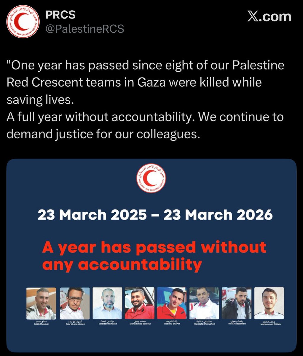 شوشع 🇩🇿 𓂆 🇵🇸 tweet media