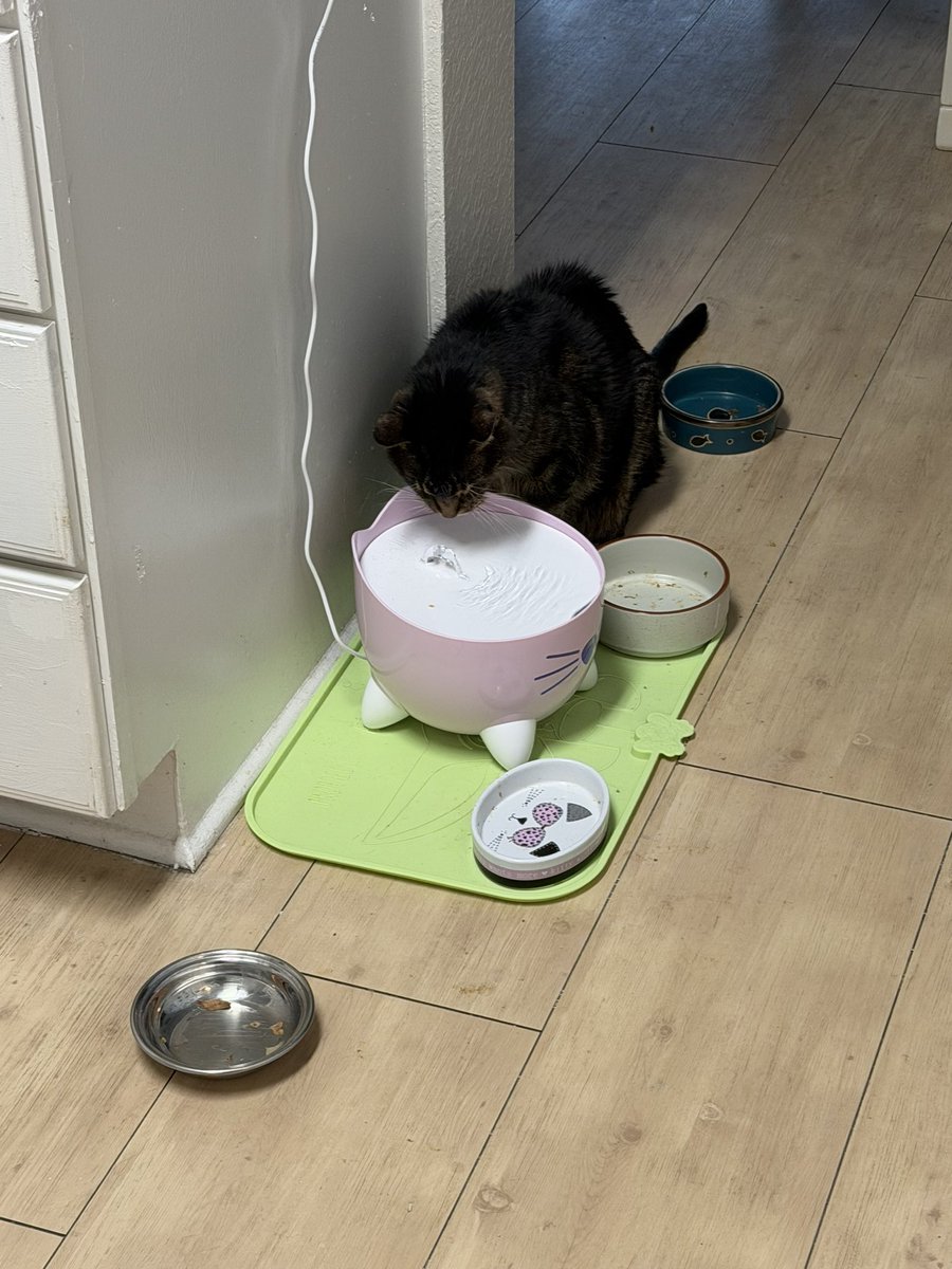 LoisAceLane tweet media