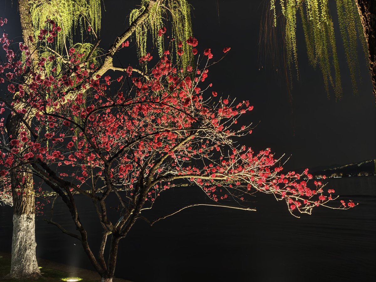 GnabusT^T tweet media