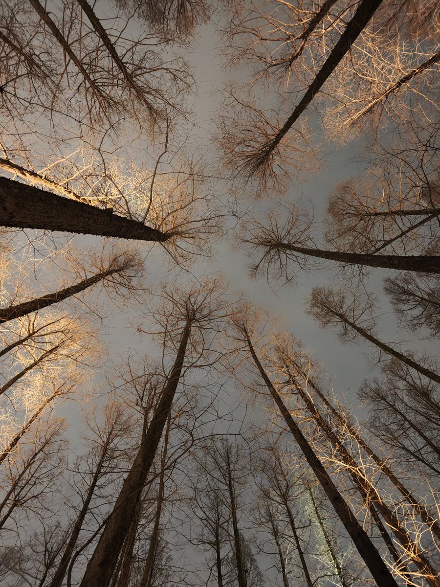 GnabusT^T tweet media