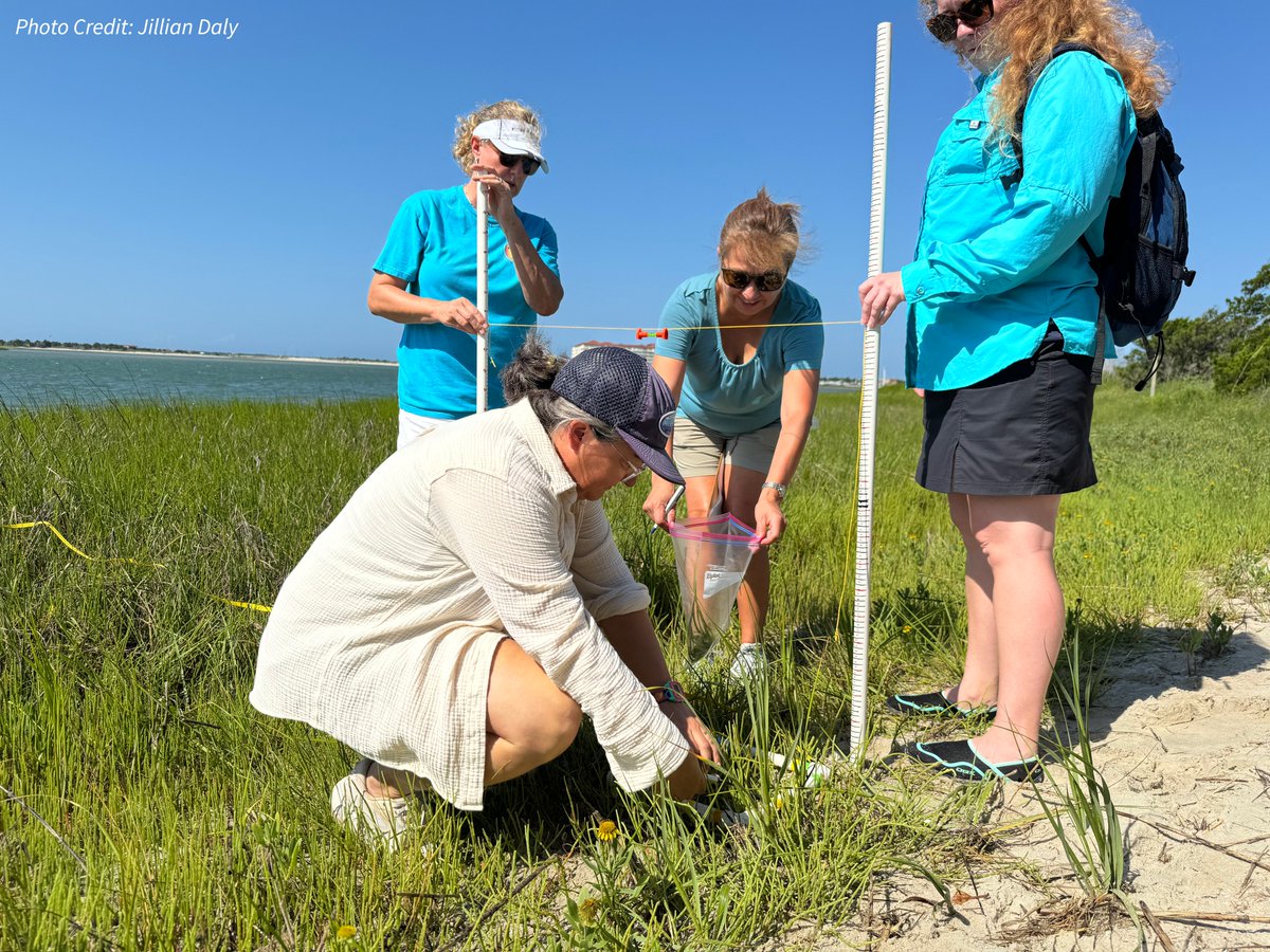 NOAA Digital Coast tweet media