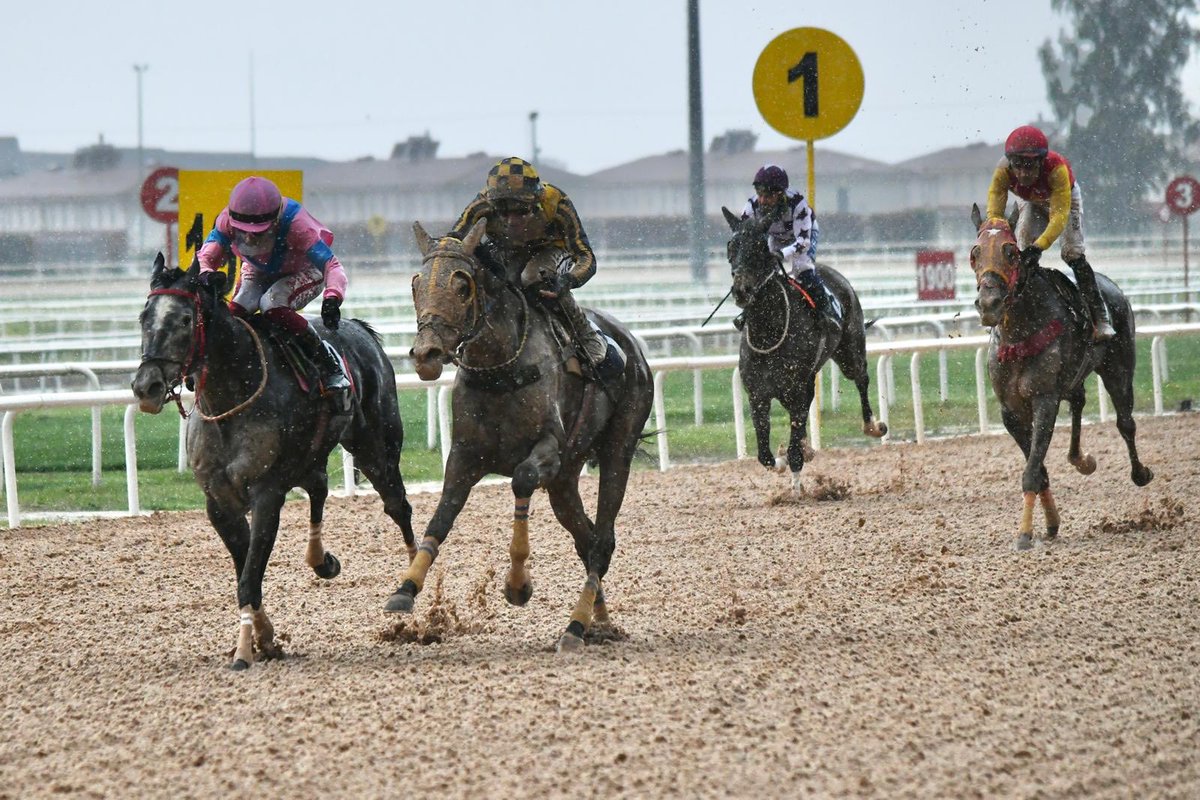 Ferit bayır tweet media