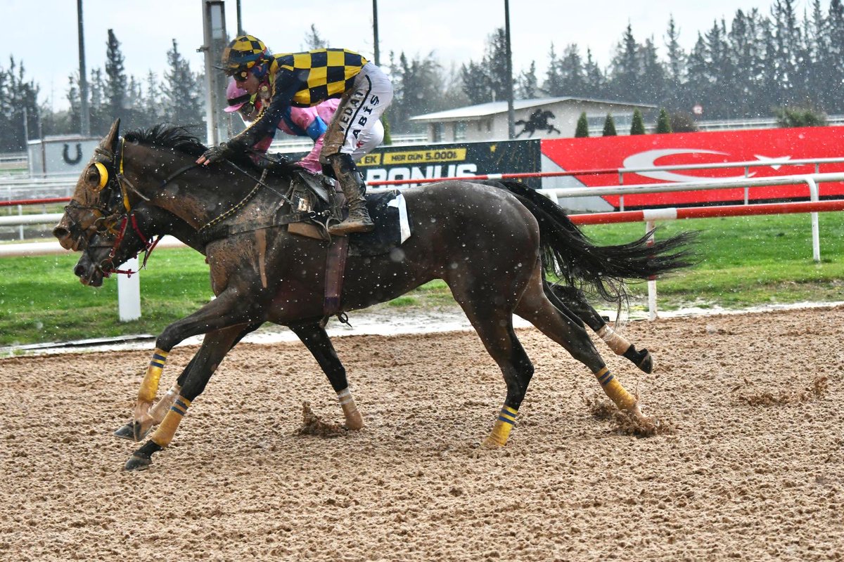 Ferit bayır tweet media