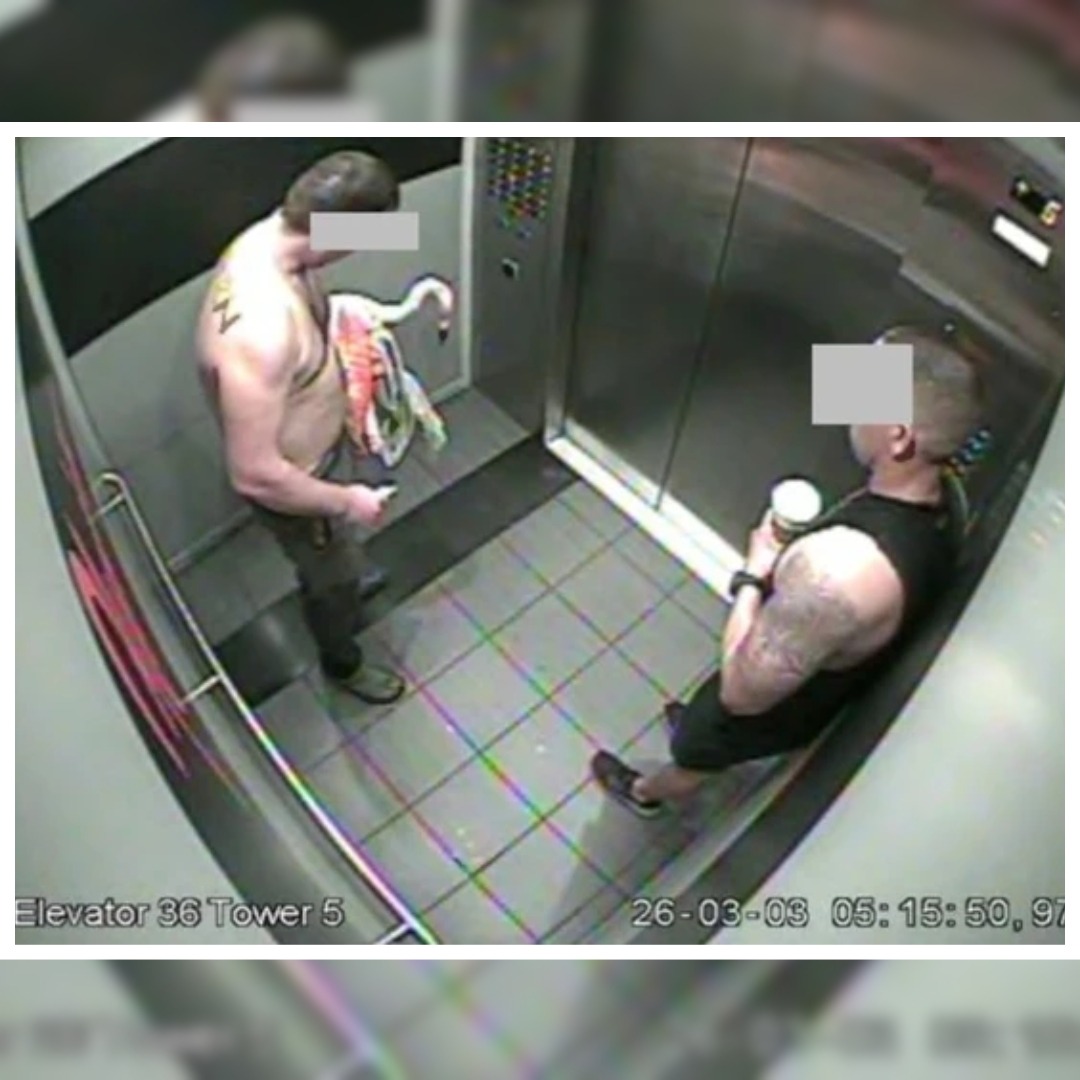 nationalpost's tweet photo. Canadian tourist accused of kidnapping and torturing a flamingo at a Vegas hotel.