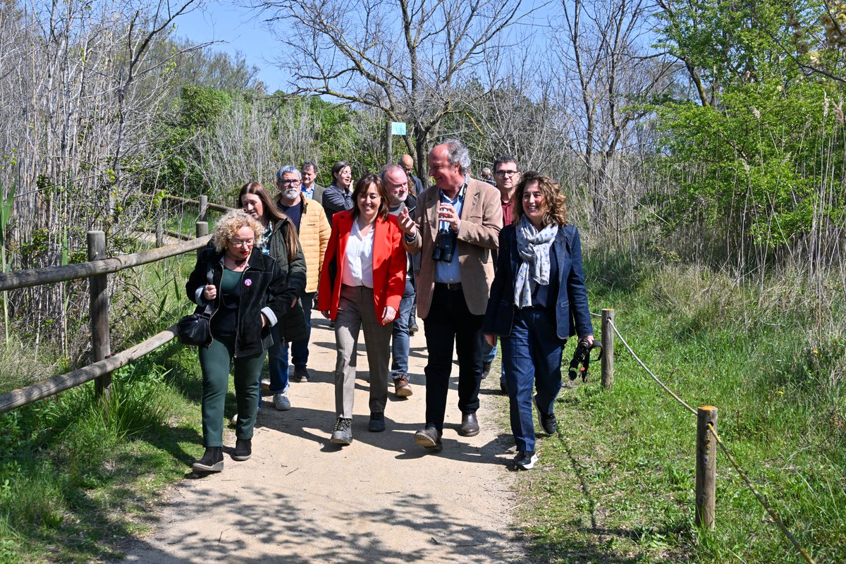 transicioeco's tweet image. 🦆 "Els treballs de restauració que ha executat l'ACA a la maresma de les Filipines-Remolar faran possible la recuperació i millora gradual d'aquesta zona humida" ha explicat la #Consellera @SilviaPaneque.

💧 Permetran una gestió adaptativa de la inundació de diferents espais i
