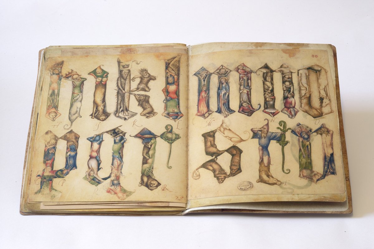 Kamil Bachmińſki tweet media