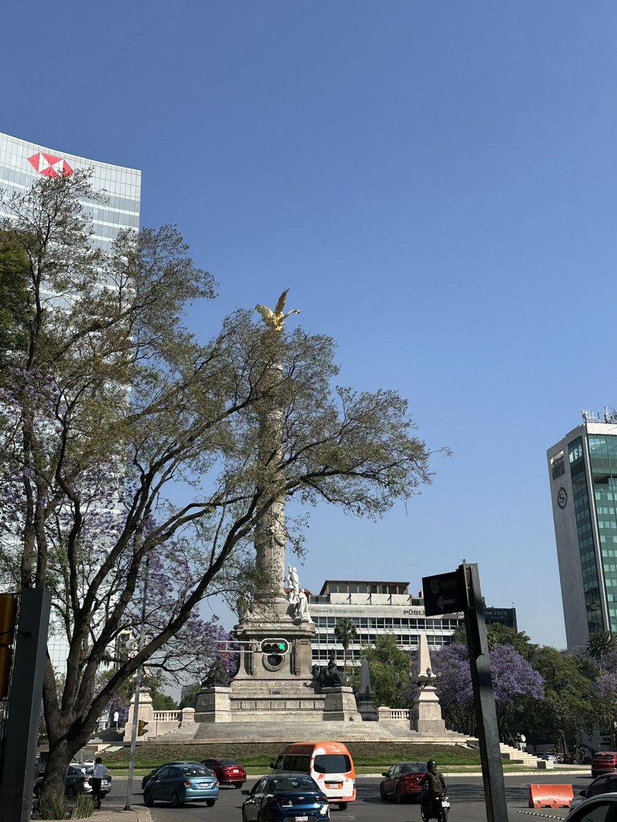 Xiaosito 🍥 tweet media