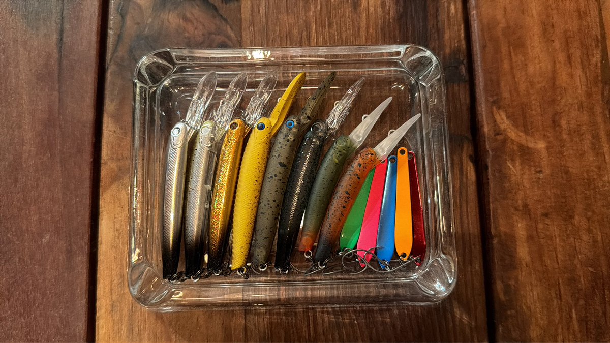 念仏鯛 tweet media