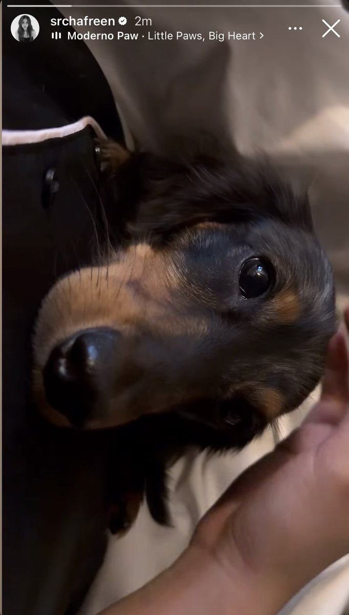 Cfusa8 🌷 tweet media