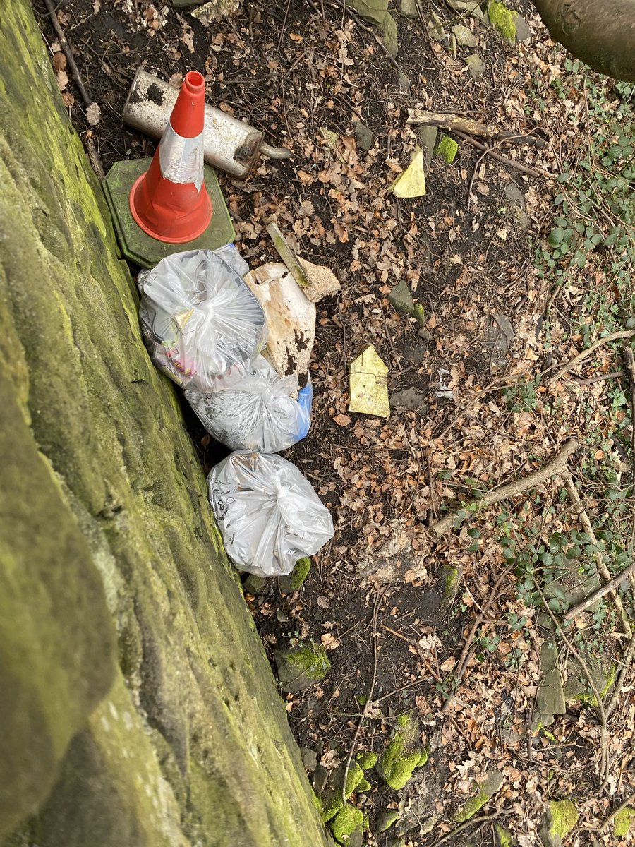 Halifax Wandering Wombles tweet media