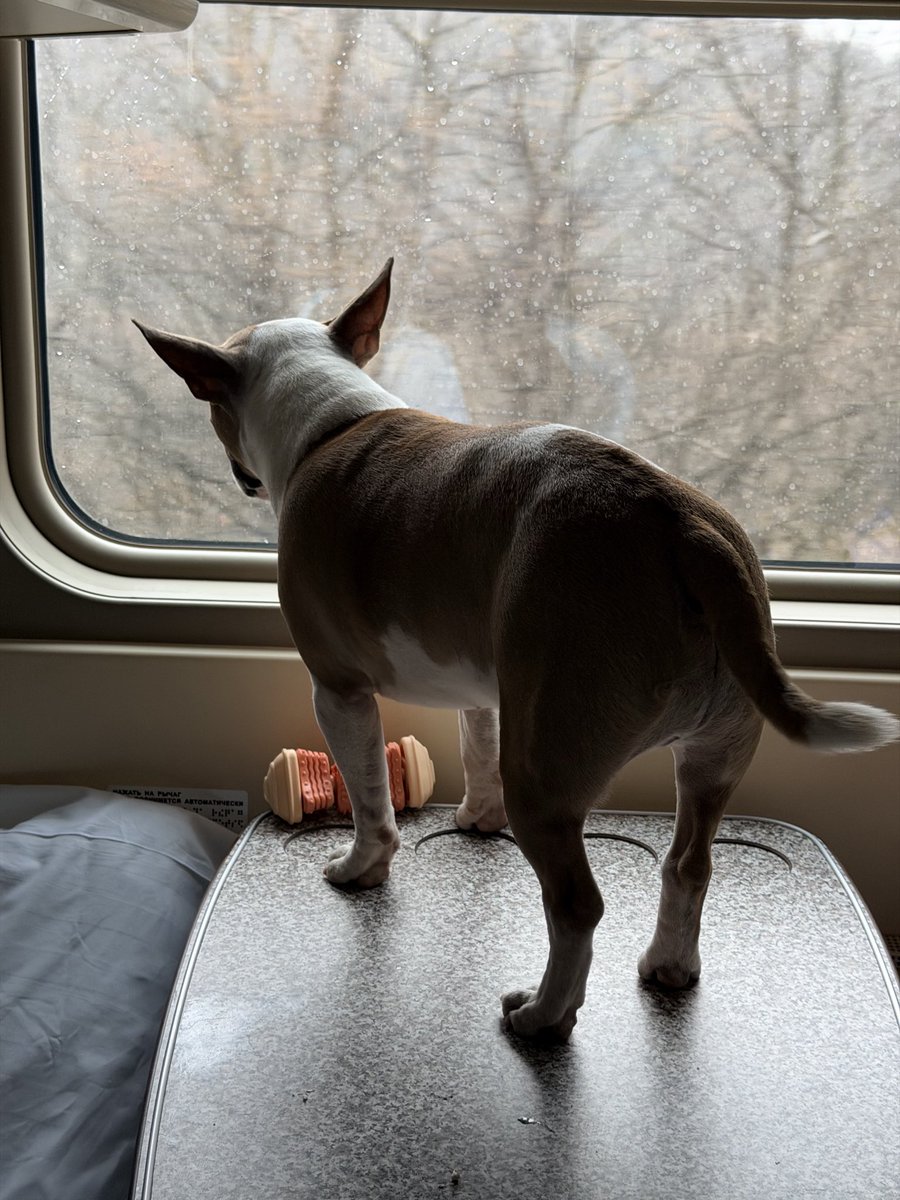 тревожная масса tweet media