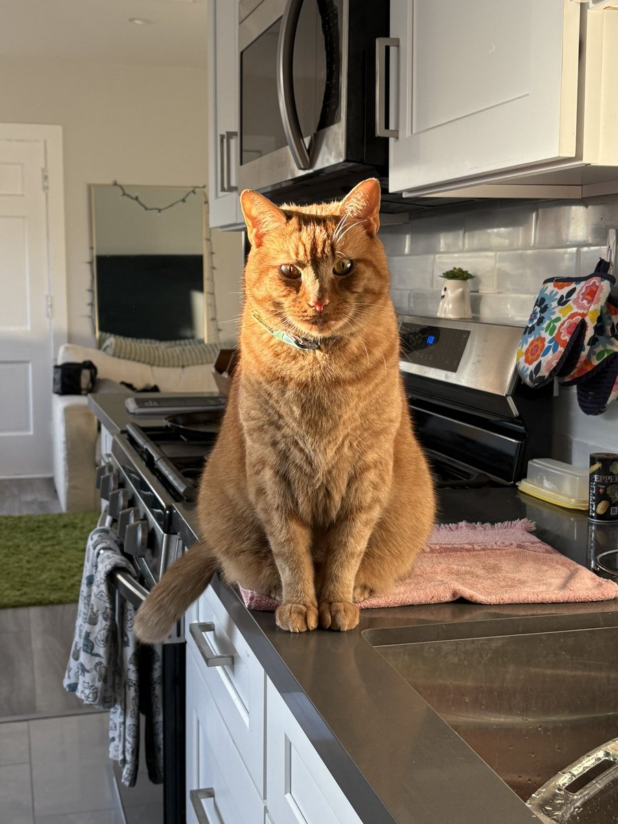 y’all better tell nugget happy birthday or else…