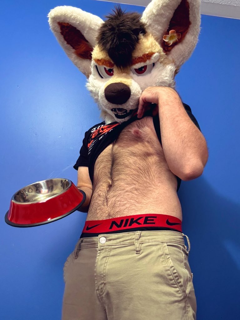 Kai! Woof 🔜 🎾 tweet media