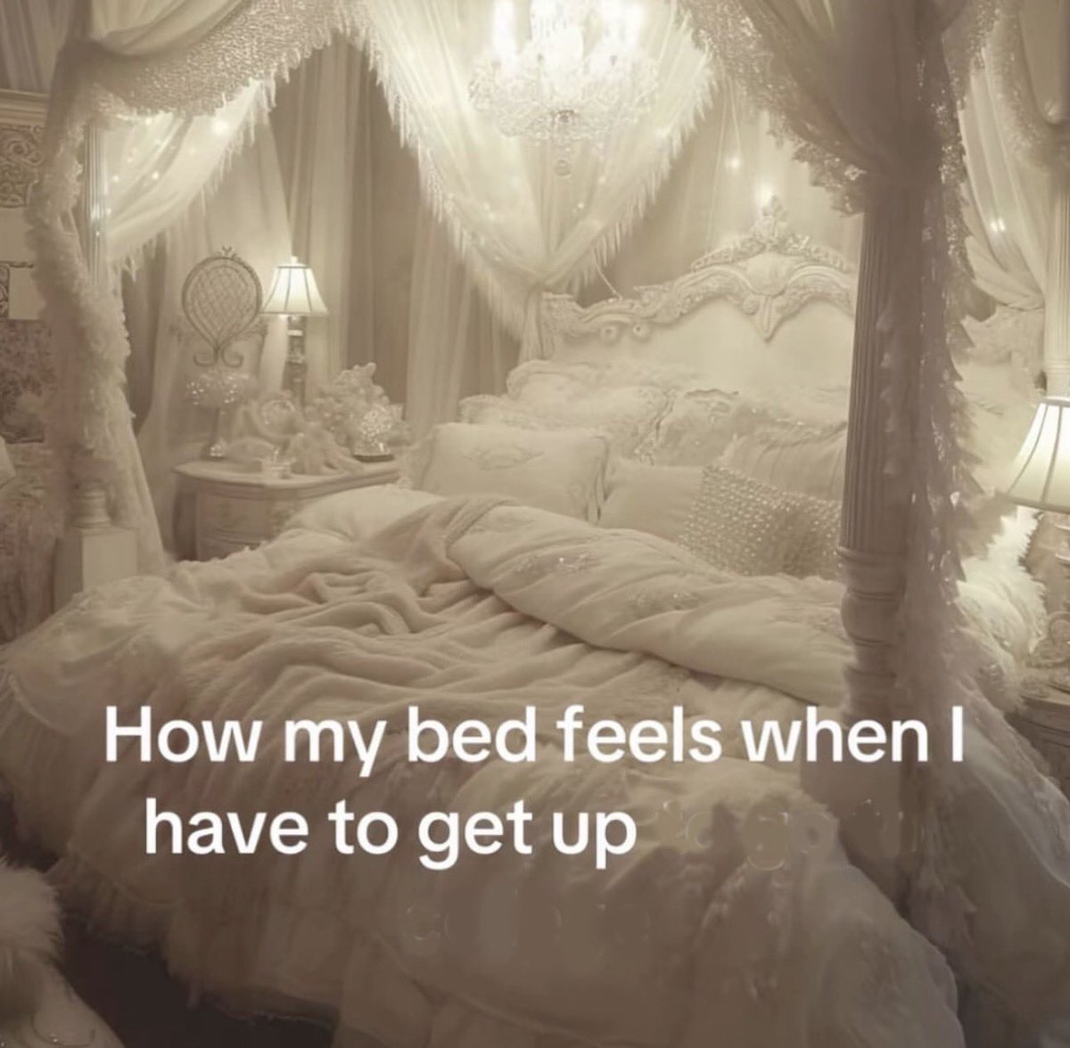 Dani 🪩 tweet media