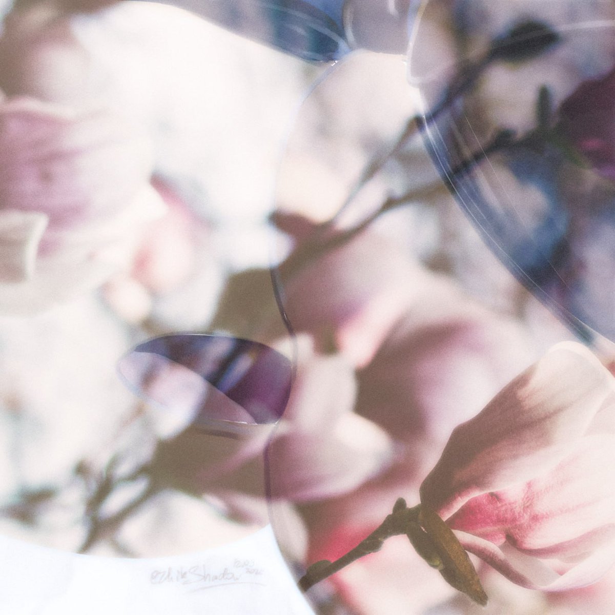 EzhikShadow tweet media