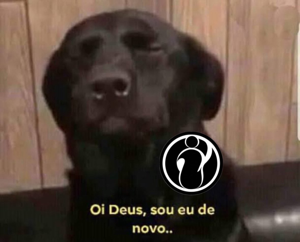 miloca 🧸 tweet media