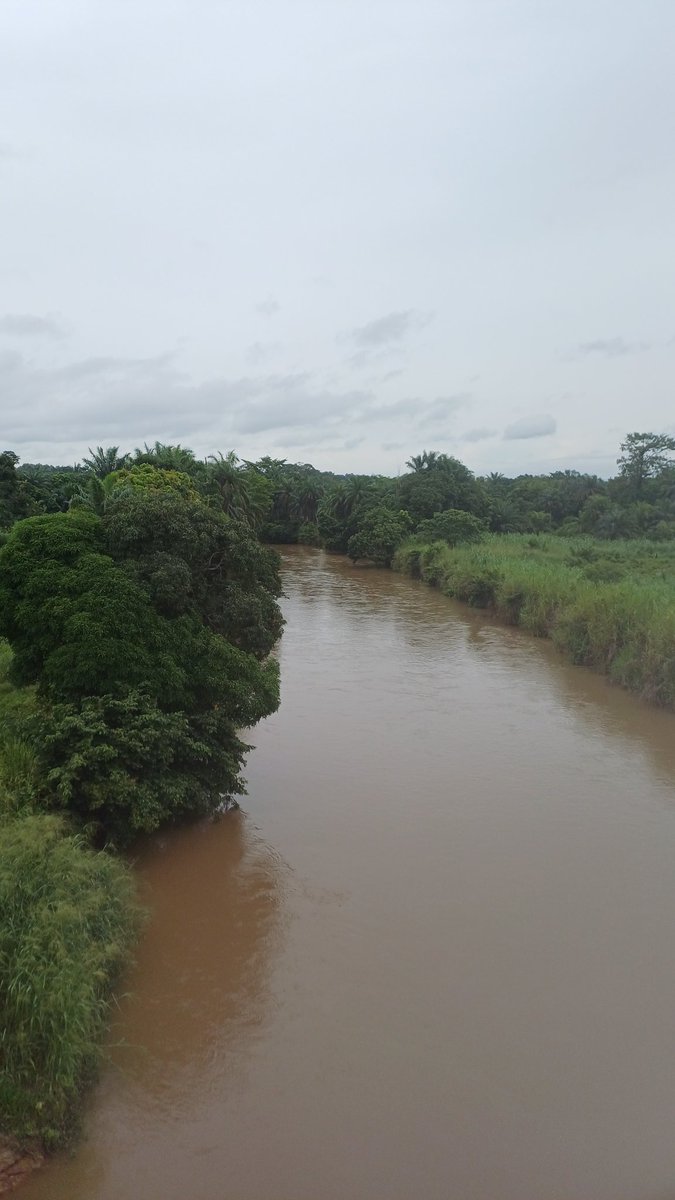 Z buta dookoła Świata tweet media