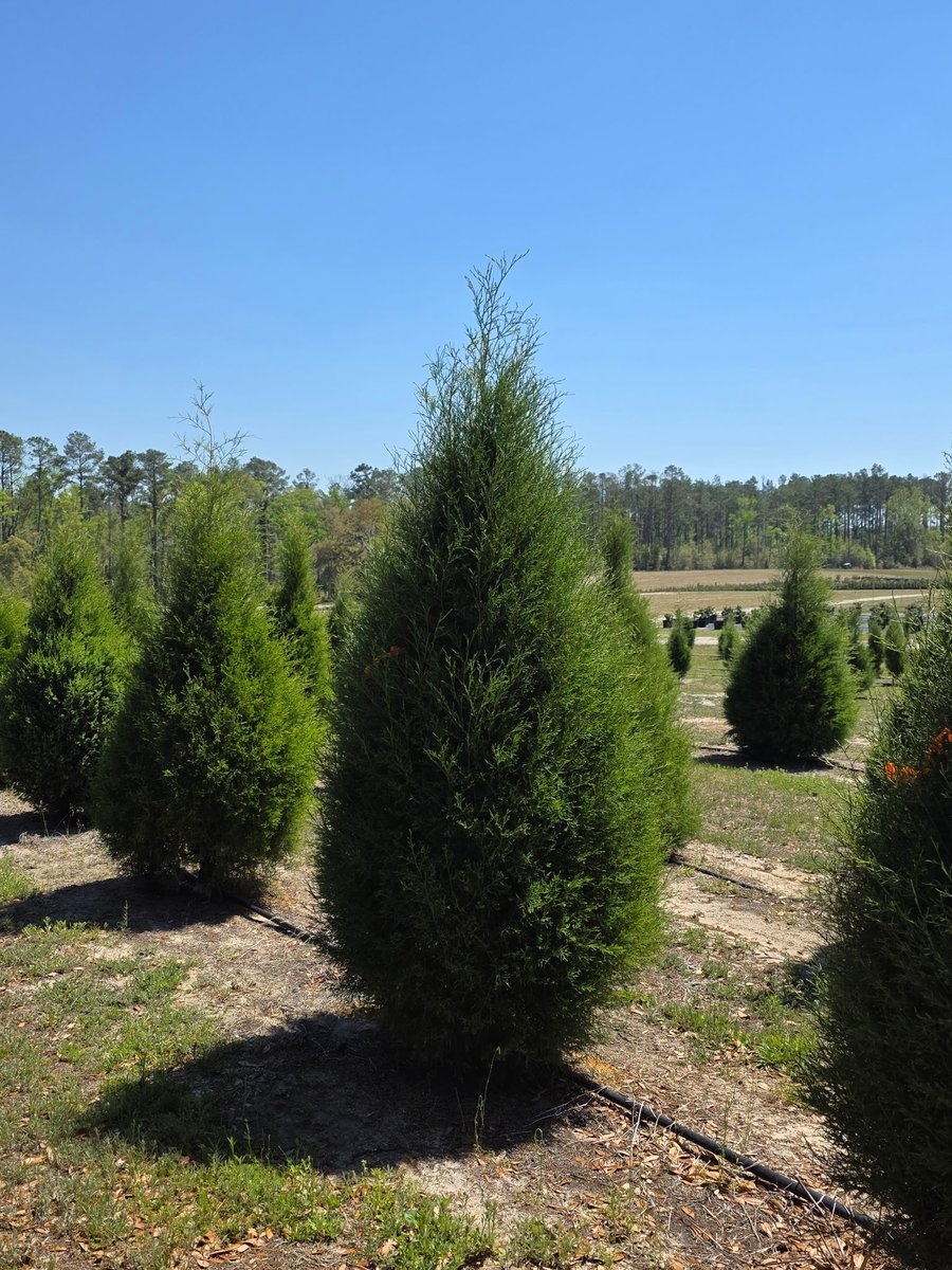 Josh Jacobson tweet media