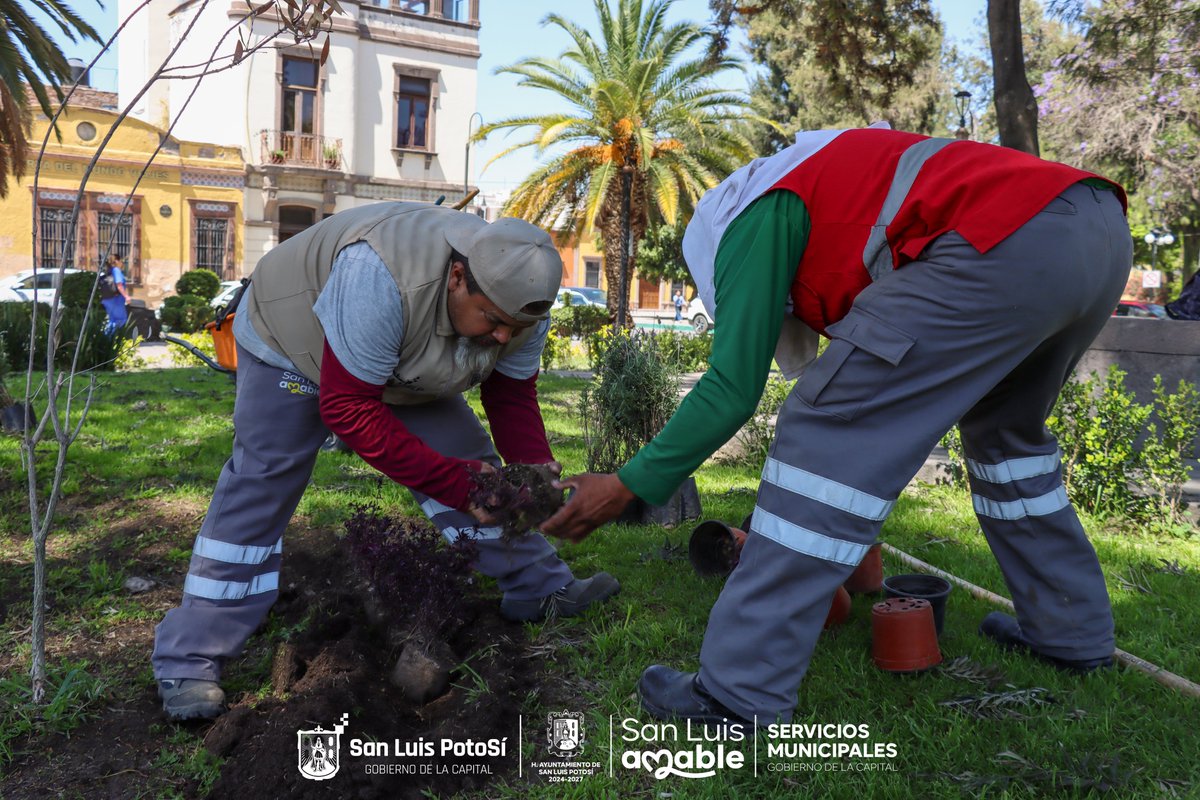 Servicios Municipales SLP tweet media