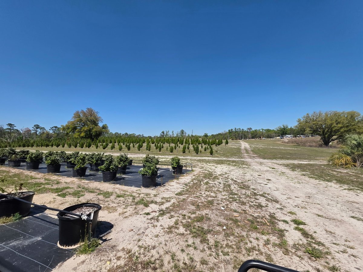 Josh Jacobson tweet media