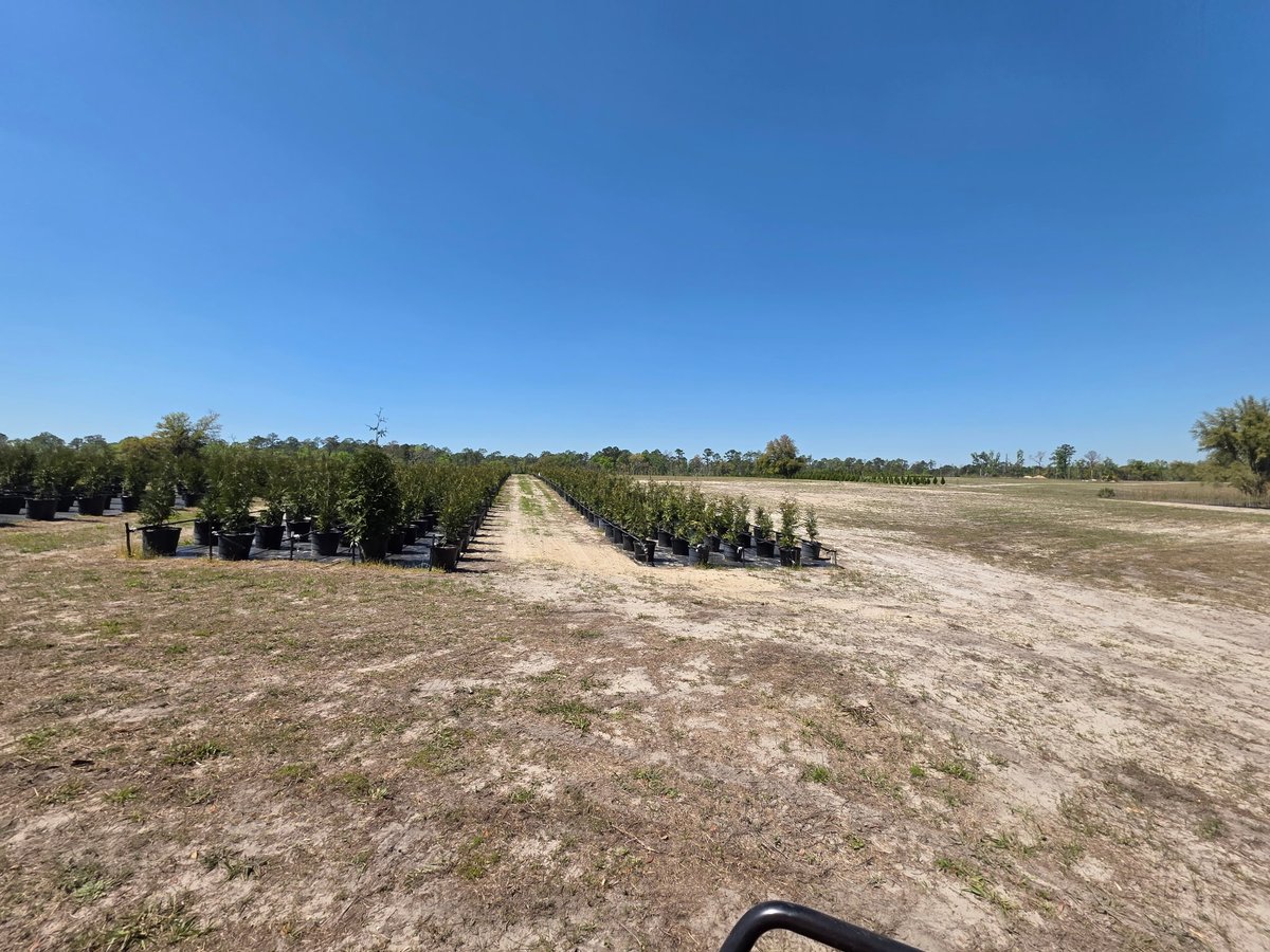 Josh Jacobson tweet media