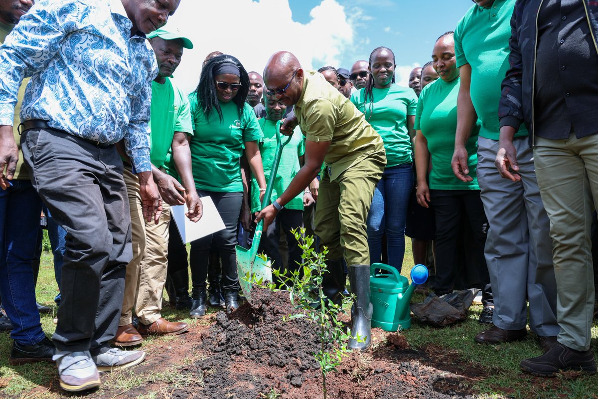 Dr Patrick Mariru, PhD tweet media