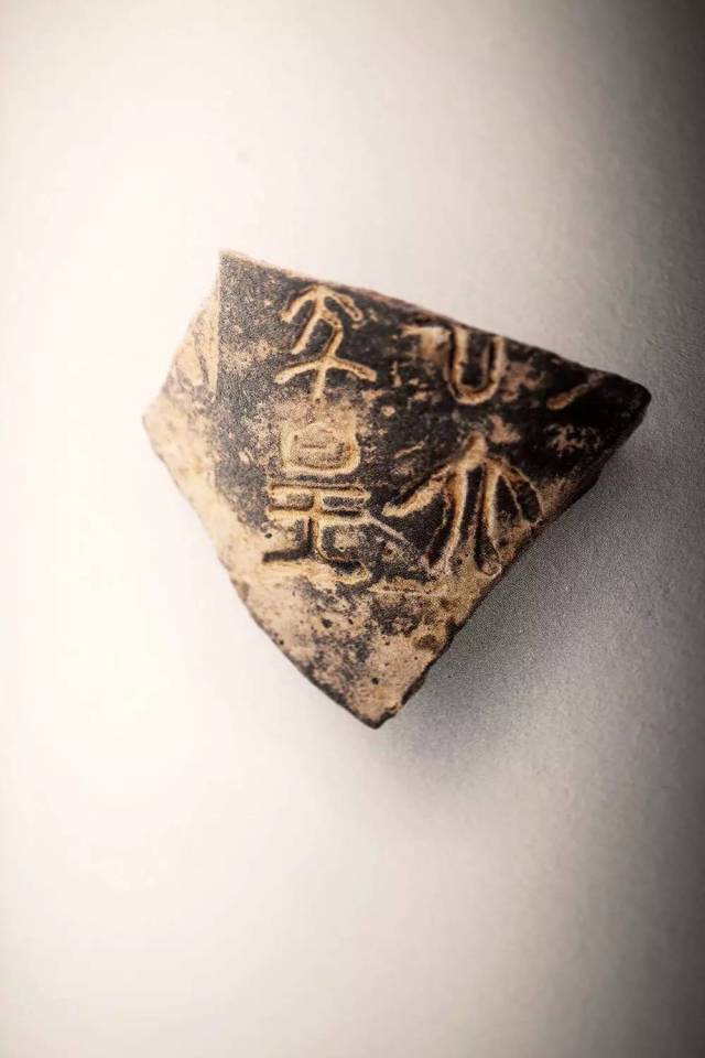 Sakib Ansari tweet media