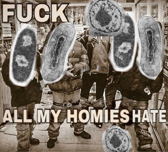 Kat398 :3 tweet media